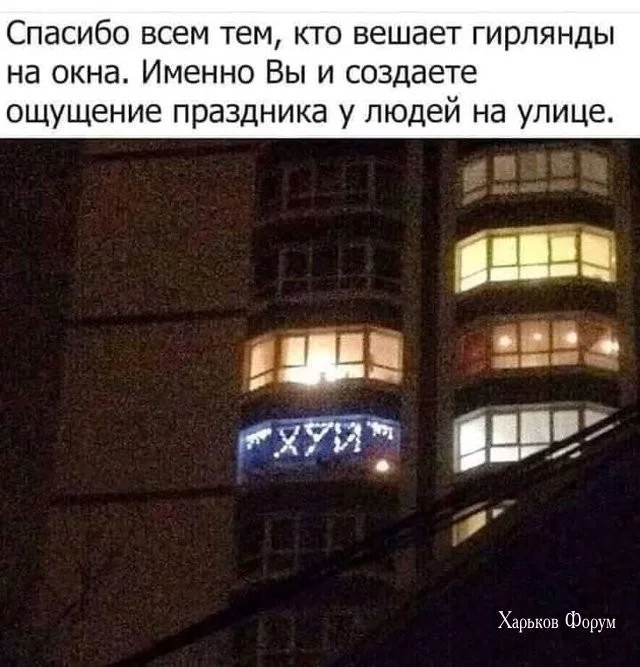 88197fe9503555fb31.webp