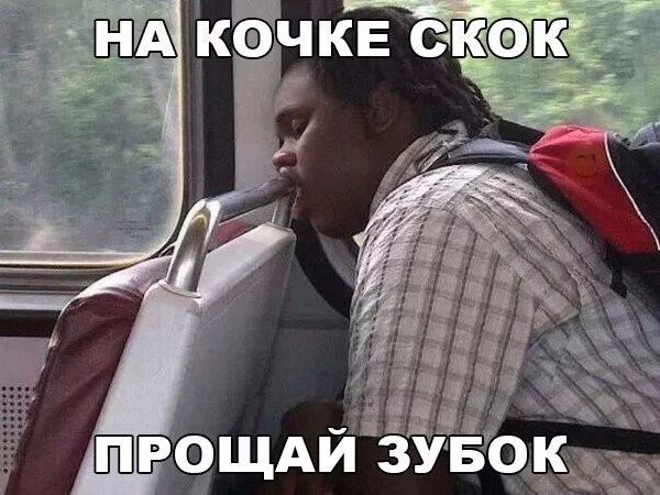 8825997.webp