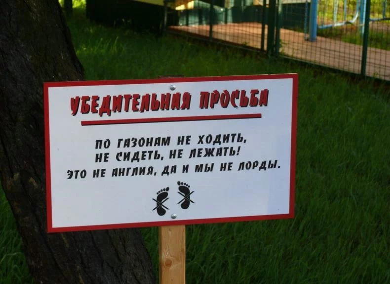 88269_original.webp