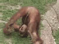 88354136332b347e80d883c48a230abd.gif