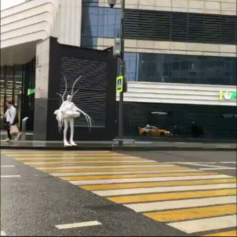 887764e56b19876a8.gif