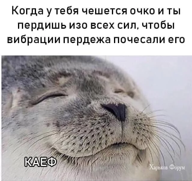 88833cfa9618668dcff.webp