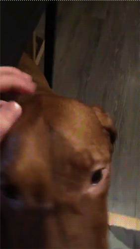 8887856d6b3fbd73d675.gif