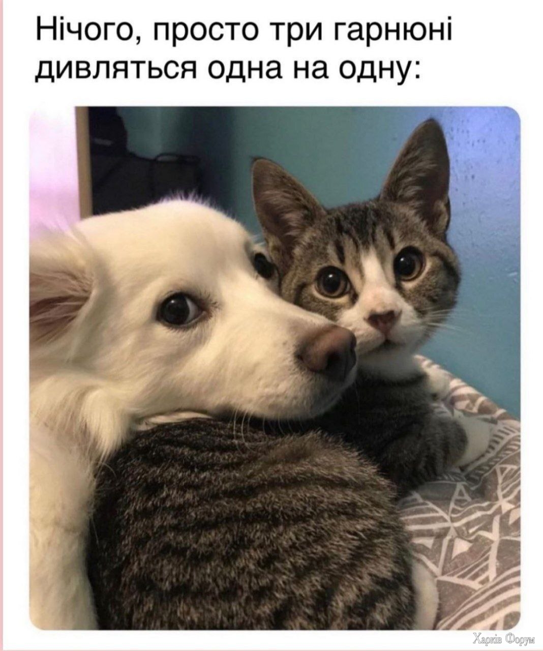 8892592.jpeg