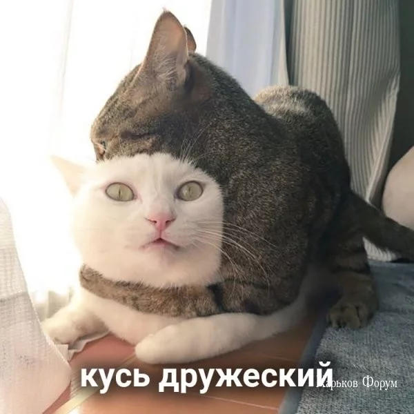 88b014d5a1d7cb802c9.webp