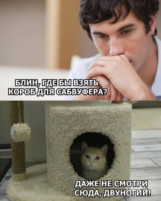 88bb1f535559b9968055f1f.webp