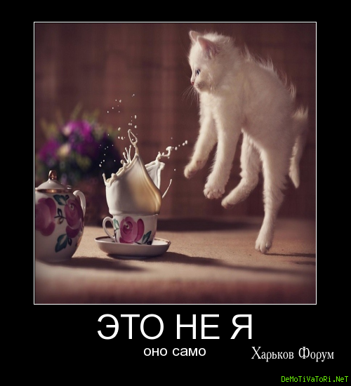 88c7d83e0aad1aed42e19.png