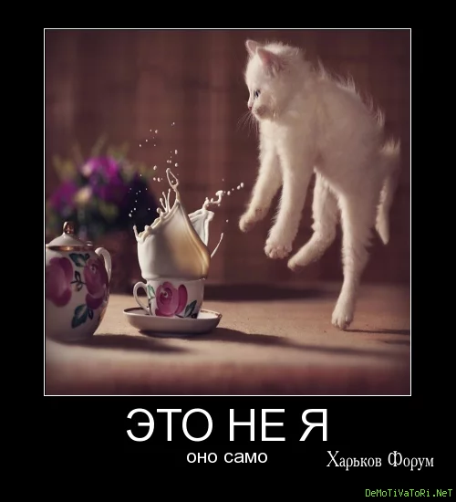 88c7d83e0aad1aed42e19.webp