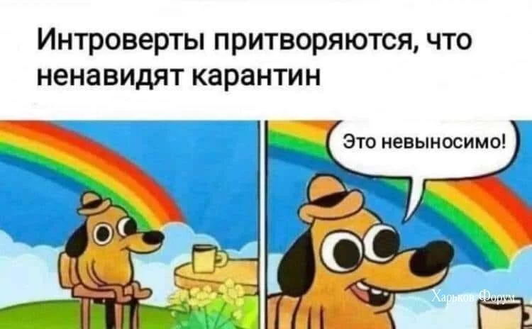 88cd64f8257f57831987f.webp