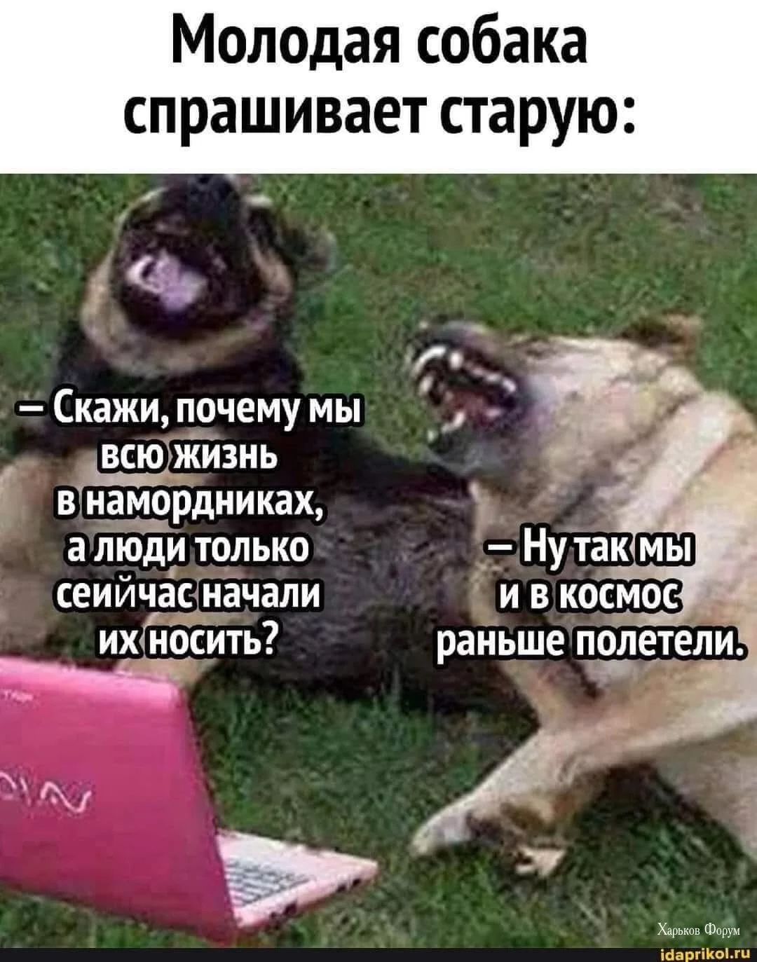 88e1006140583492f.webp