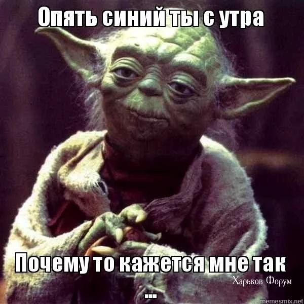 8900976e264daa440512d0.webp