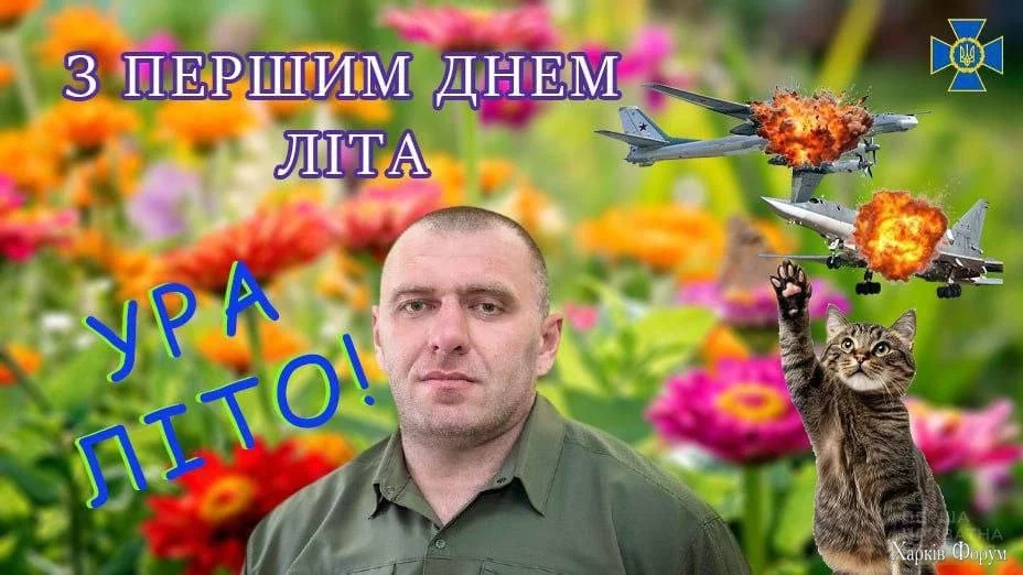 8931564.webp