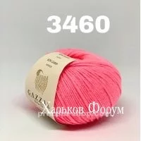 8931fff9d0788cd0f82.webp