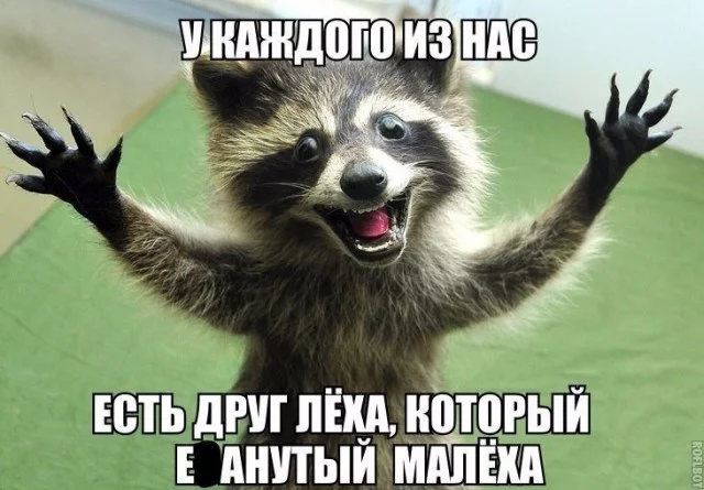 8934216.webp