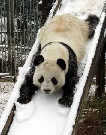 893604image001.webp