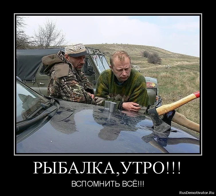 8937363.webp
