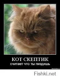 893f48ec4f02eb697252959ce7ec2eca.webp
