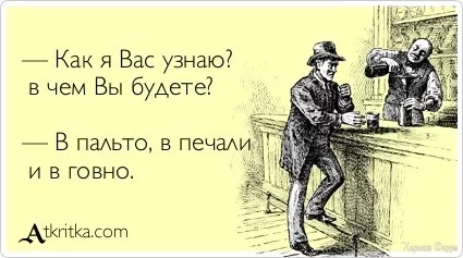 8950.webp