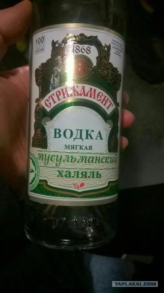 8988781.webp