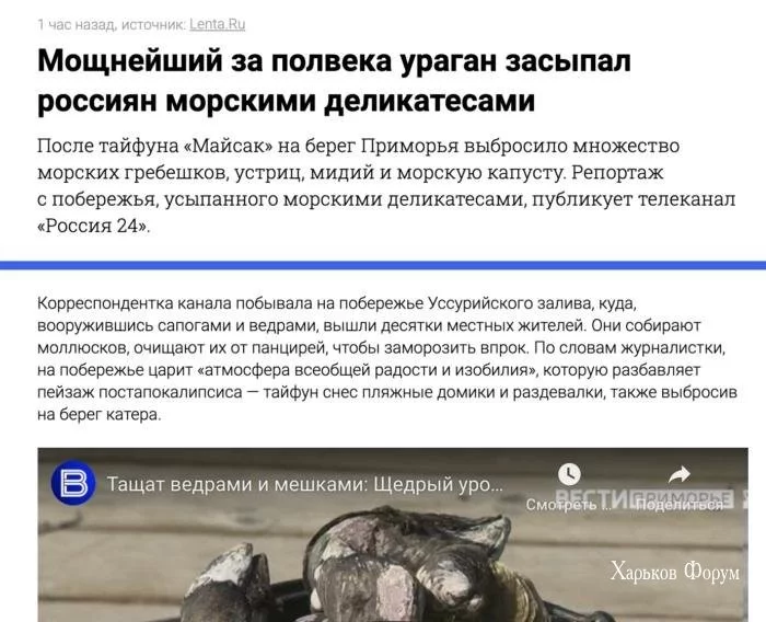 89ae2c06d97fb21516cf03.webp