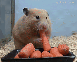 89ca8984582b0245b.gif
