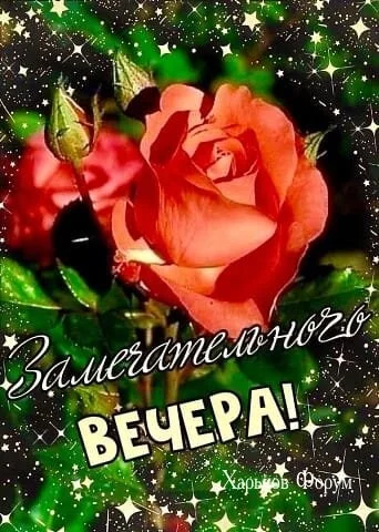 89ce387fd116c41ae54efe3a.webp