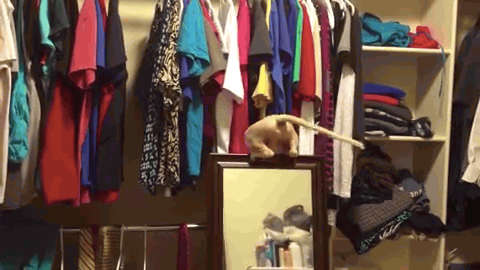 89d0b6bad1b134842be3e.gif