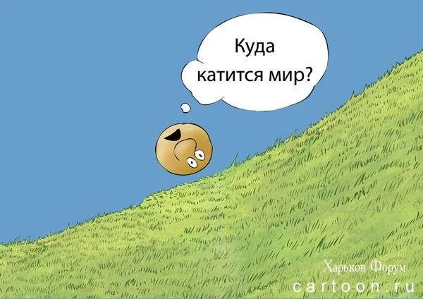 89ecdd44a90319efdd.webp