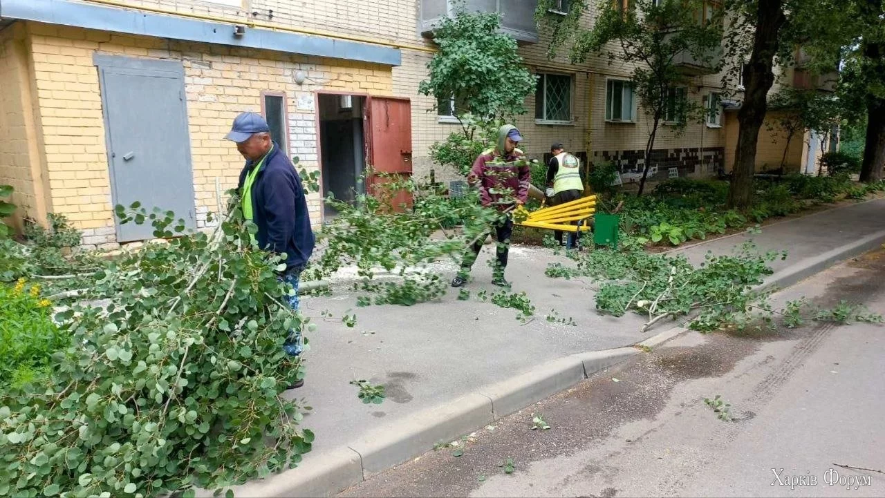 8_685e5049d31ae.webp