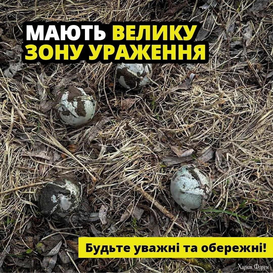 8_68a5bbe185f8d.webp