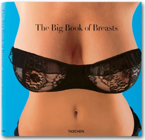 8_cover_fo_big_book_of_breasts_0705301723_id_11494.webp