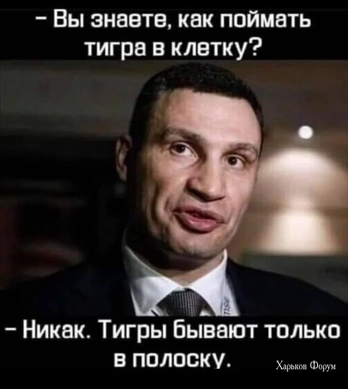 8a1423ca93bf8afe4aa9c.webp
