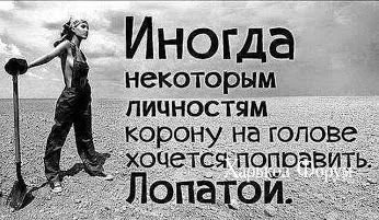 8a15e0c199421098d459.webp