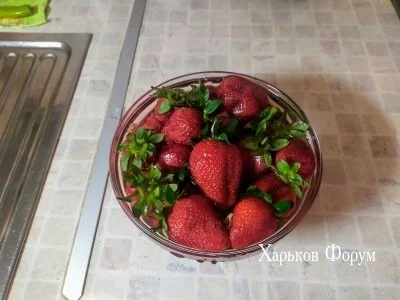 8a23f38f240358245af22.webp