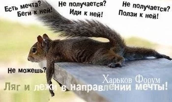 8a3c87f2005879afb8b1fcb.webp