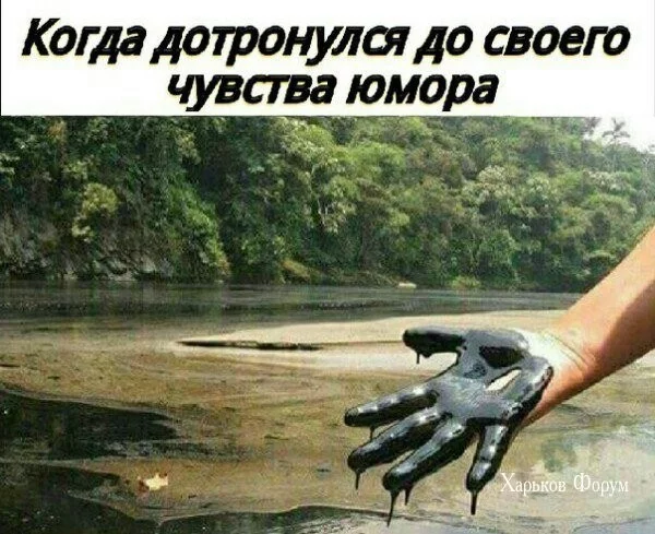 8a456bc19a8a04ddd21d.webp