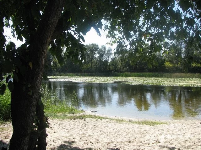 8a60a1d8d353c1692999.webp