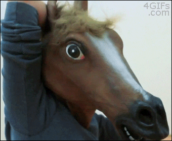 8a9543bad863a4179.gif