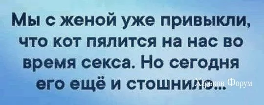 8a9ab5ad8c339253e.webp