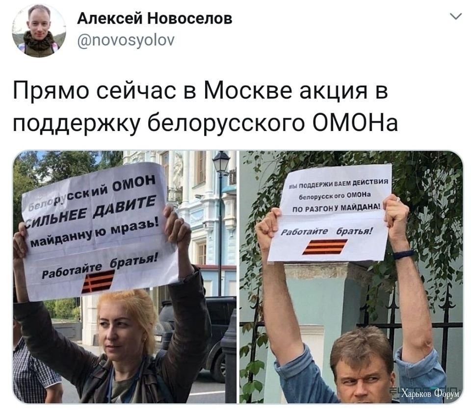8a9d3a1ffcea11ec2c25.jpg