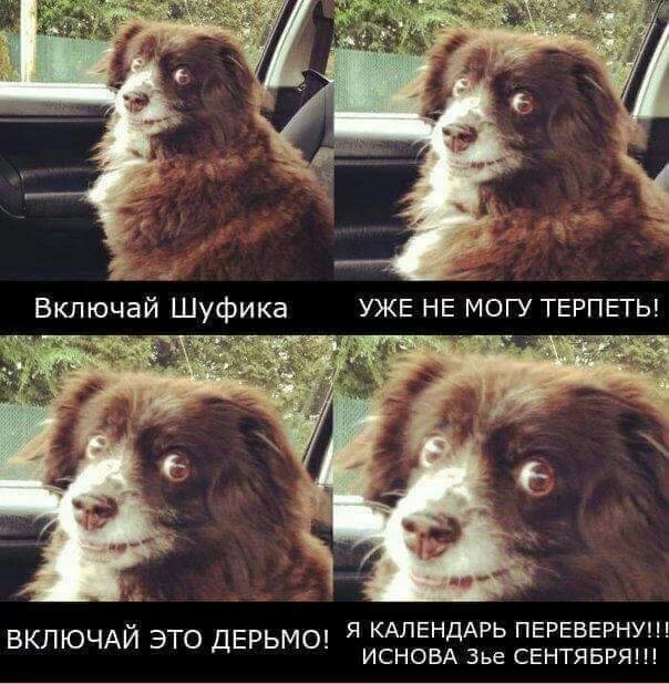 8a9d4bf43295c48502d60fb0336b2f7d.webp