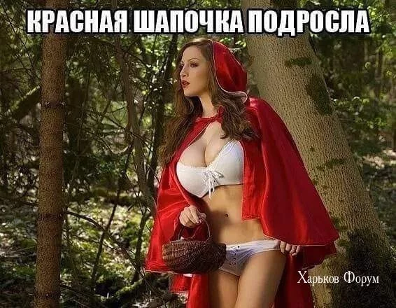 8aab5c64e6faf462db1852.webp