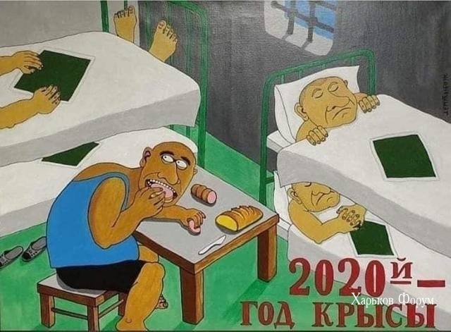 8ab423980e941195f53e0f3.jpg