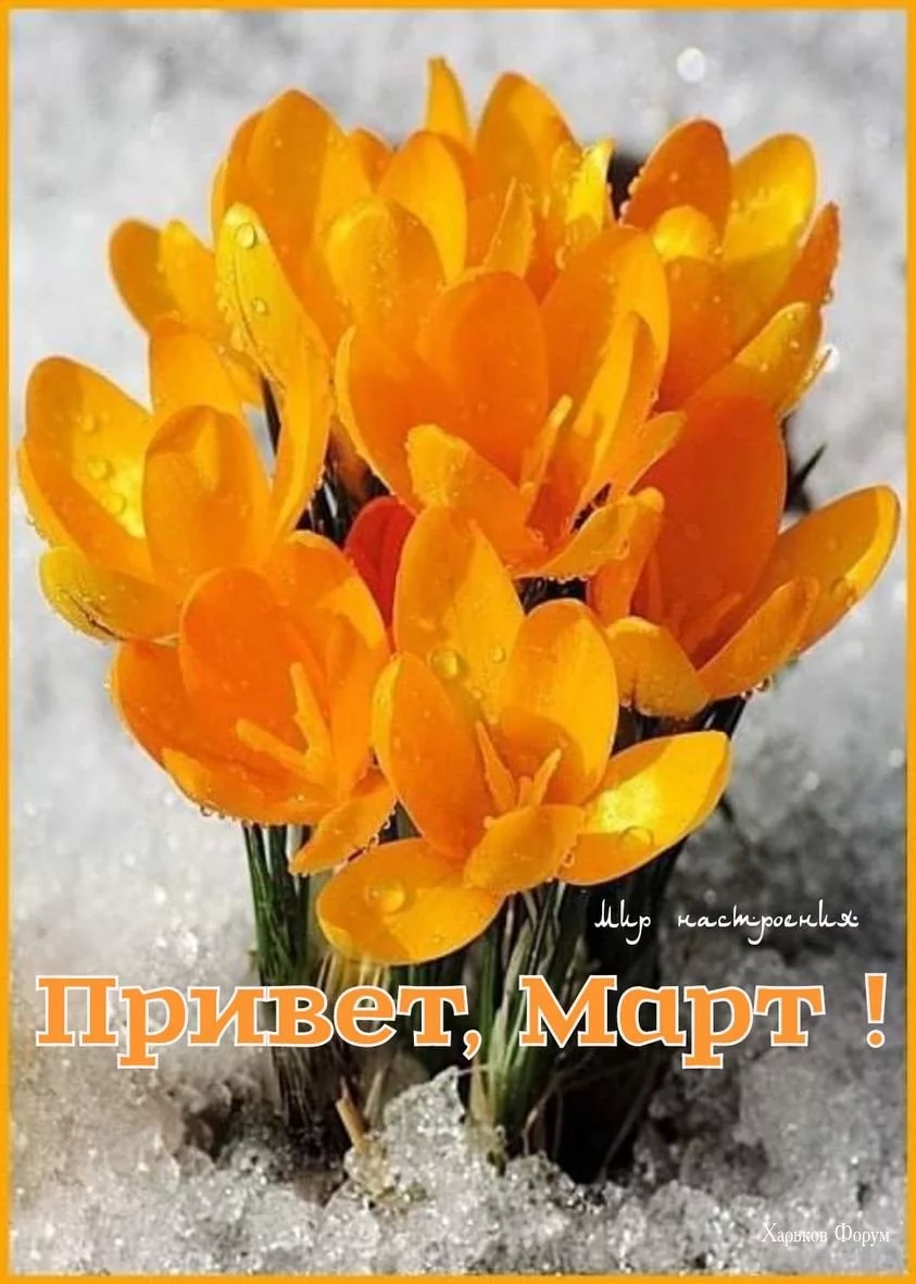 8ac04d1e10d7ae1947abf06.webp