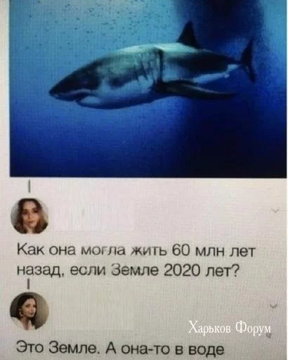 8acd2394743efdf0284984.webp