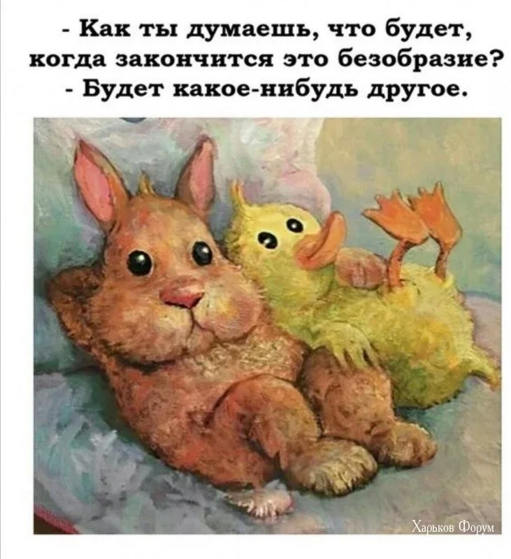 8ae1a4a1ea3452229c1c.webp