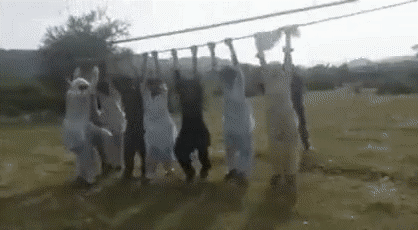 8ae6d13b970b74834c.gif