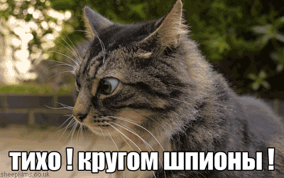8aeejh.gif