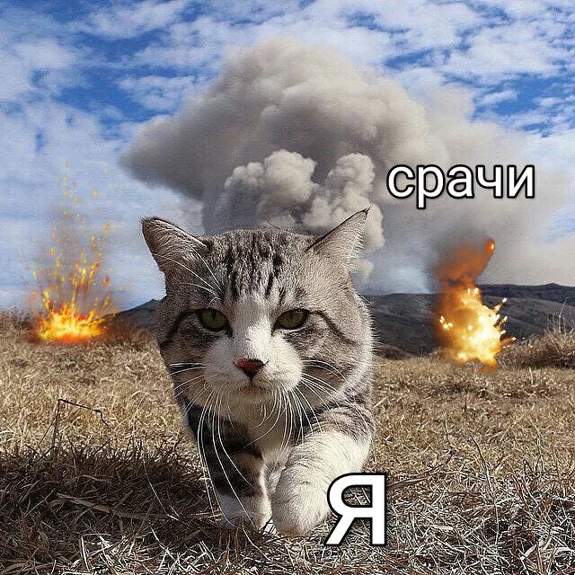 8aejbd.webp