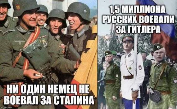 8af98a7b474f65e5827e.webp